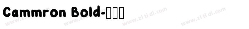 Cammron Bold字体转换